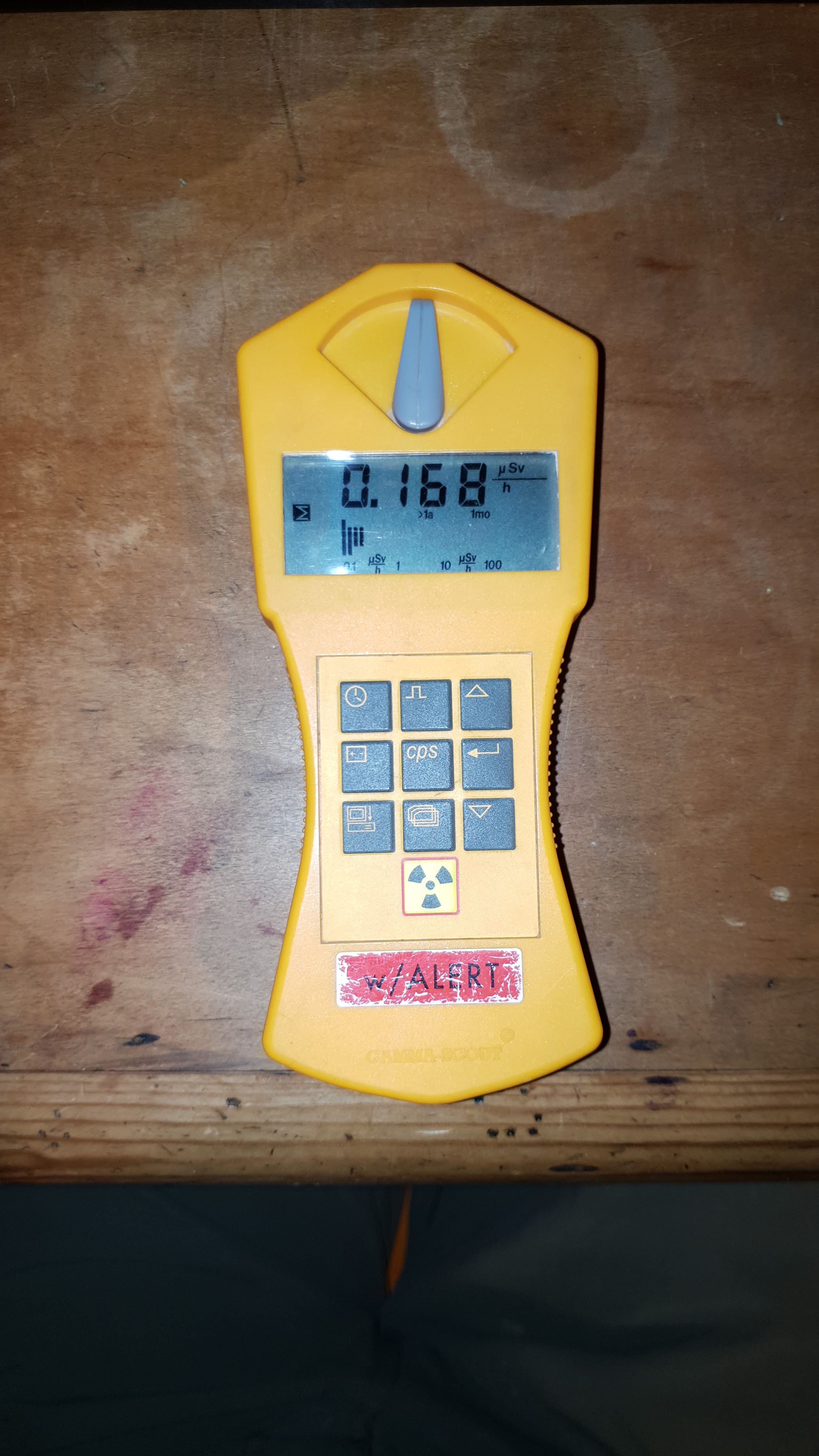 I Bought a Gamma Scout Pt.1