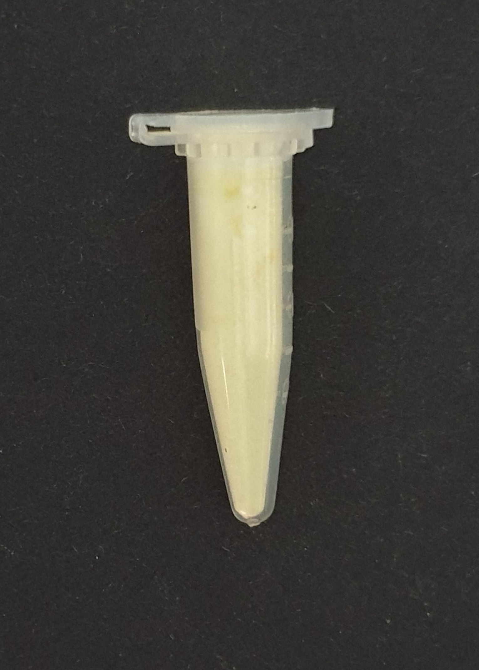 Uranium Element sample - Uranyl Zinc Acetate