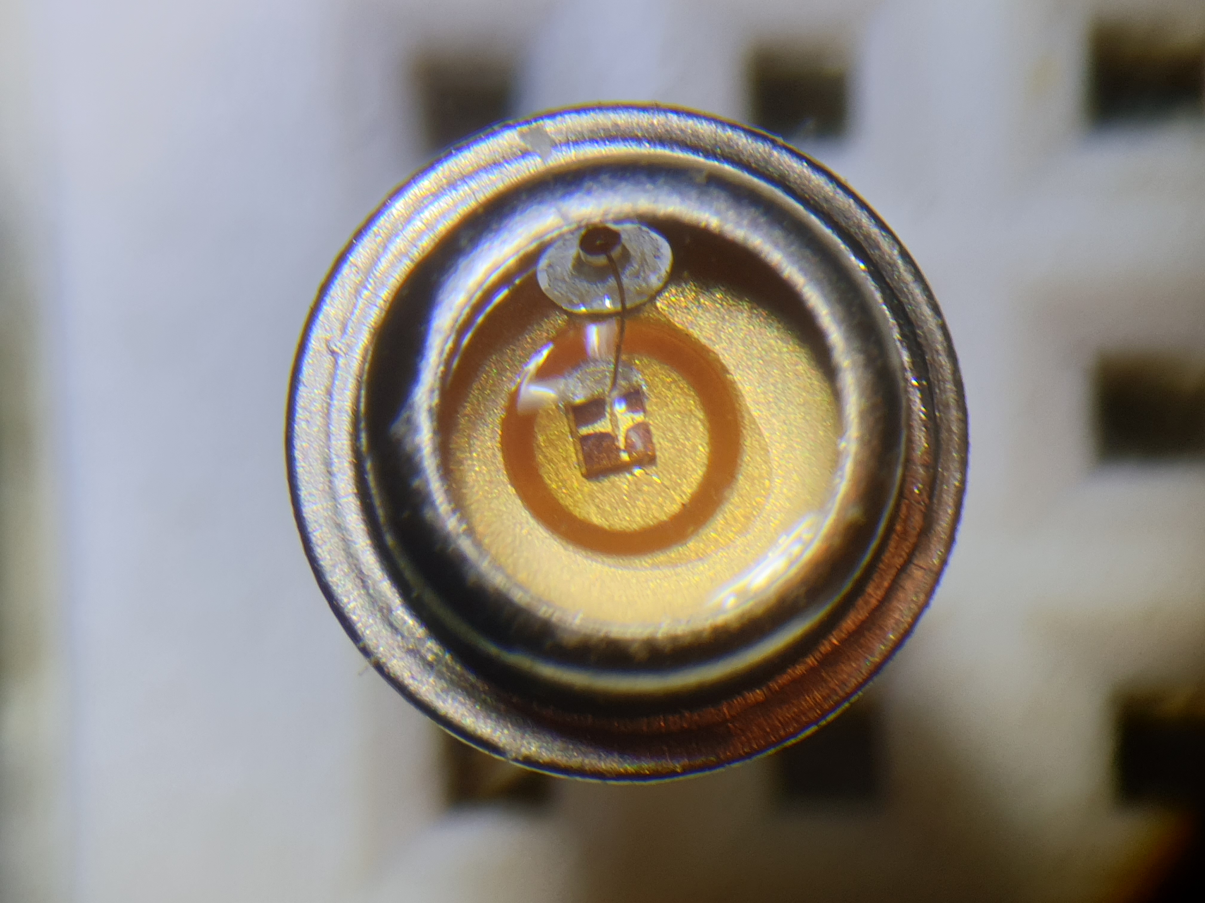 A bit of fun - Can you guess what this is?